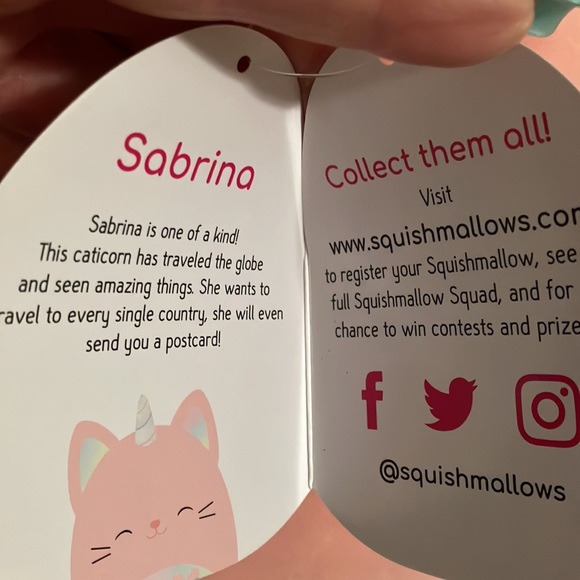 Squishmallows Other Squishmallow Sabrina The Caticorn Shes 6 Tall